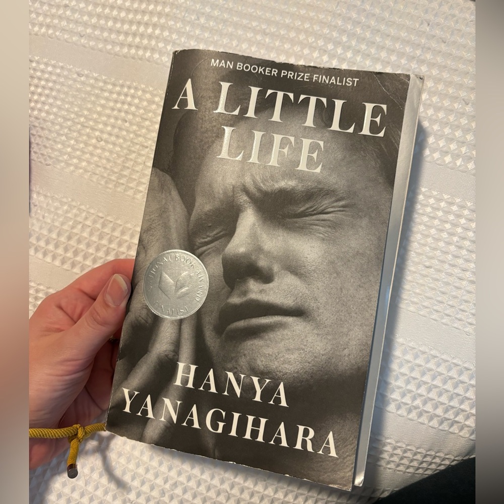A Little Life Book